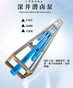 抽深井鹽鹵水用什么潛水泵？潛鹵電泵材質(zhì)如何選擇？